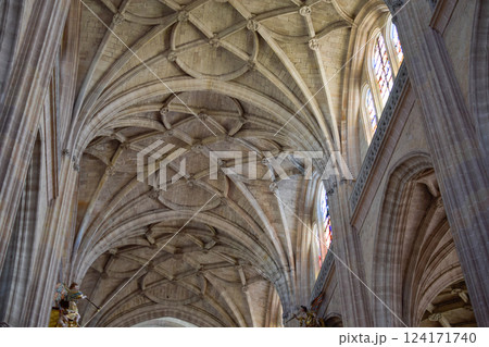 Late Gothic ribbed vaults and interlocking ribs in Gothic Cathedral of Segovia 124171740