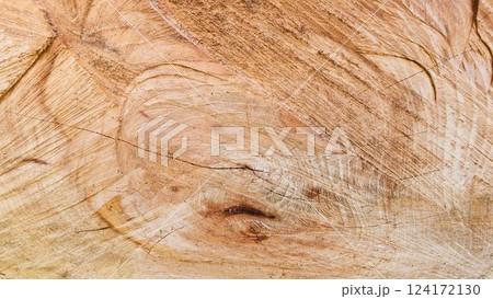 Close Up of Cut Tree Wood with Natural Rings and Cracks backround textures Close Up of Cut Tree Wood with Natural Rings and Cracks backround textures 124172130