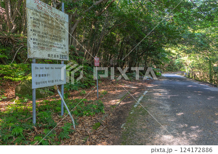 動物注意　緑の回廊　世界自然遺産屋久島(夏 124172886