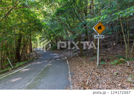動物注意　緑の回廊　世界自然遺産屋久島(夏 124172887