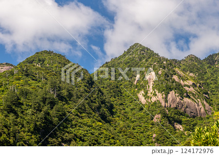 深緑　急峻な山　世界自然遺産屋久島(夏 124172976