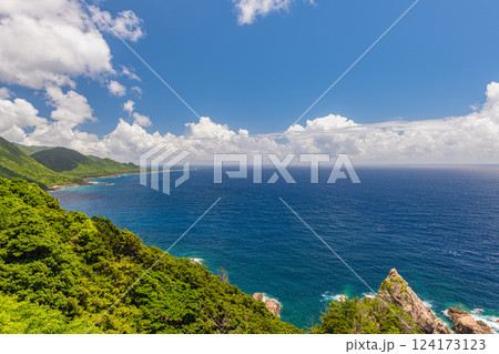 夏の積乱雲と海 西部林道地域 世界自然遺産屋久島 夏の積乱雲と海 西部林道地域 世界自然遺産屋久島 124173123