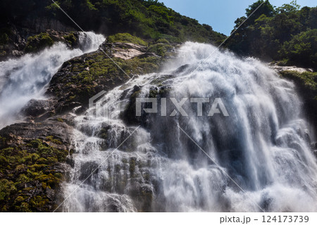 轟音清涼 日本の滝百選大川の滝 屋久島国立公園(夏 轟音清涼 日本の滝百選大川の滝 屋久島国立公園(夏 124173739