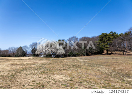 前橋市大室公園　群馬県 124174337