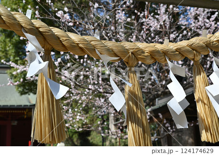 わらべ歌発祥の地　梅ほころぶ三芳野神社　川越市 124174629