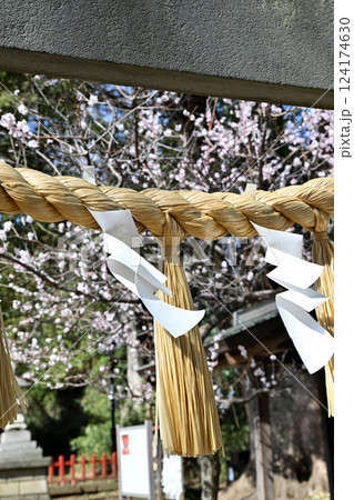 わらべ歌発祥の地　梅ほころぶ三芳野神社　川越市 124174630