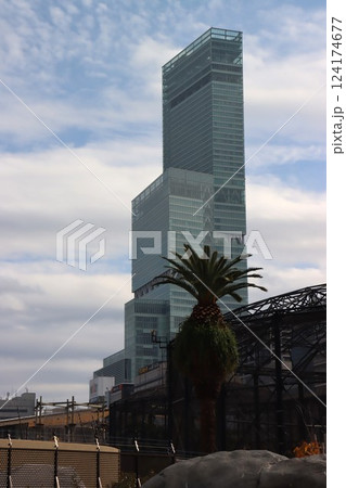 住吉大社 124174677