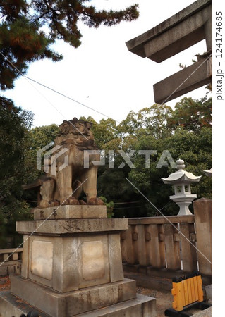 住吉大社 124174685