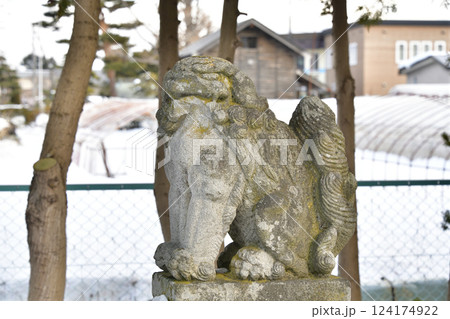 冬の北海道北斗市で上磯八幡宮境内の風景を撮影 124174922