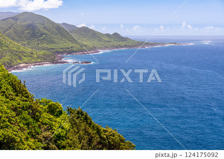 屋久島世界自然遺産の絶景(7月)真夏の日差しを浴びる森と海 124175092