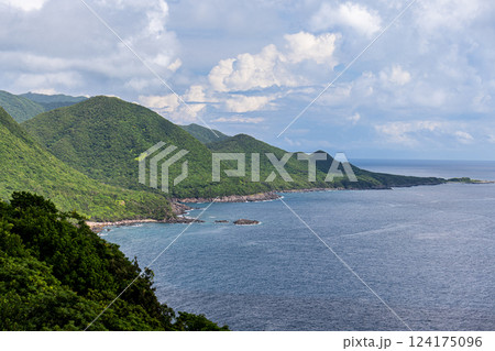 夏の海と森　西部林道地域　世界自然遺産屋久島 124175096