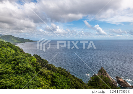 夏の海と森 西部林道地域 世界自然遺産屋久島 夏の海と森 西部林道地域 世界自然遺産屋久島 124175098