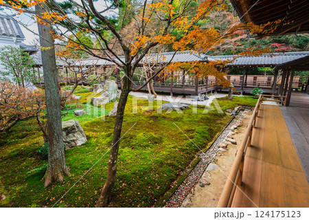 秋の京都 南禅寺 六道庭 秋の京都 南禅寺 六道庭 124175123