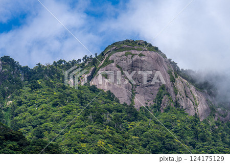 真夏の日差しを浴びる岩山　世界自然遺産屋久島 124175129