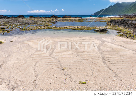 夏の栗生海岸 屋久島国立公園 夏の栗生海岸 屋久島国立公園 124175234