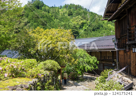 新緑の妻籠宿 124175241