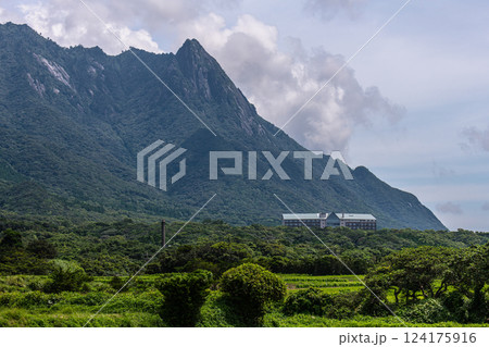 世界自然遺産モッチョム岳　洋上アルプス屋久島(夏 124175916