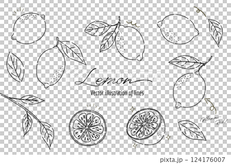 檸檬線描插圖,手繪檸檬線 檸檬線描插圖,手繪檸檬線 124176007