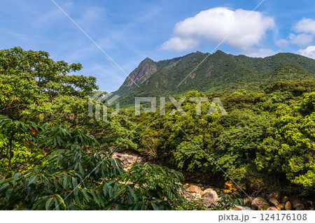 真夏の青空と深緑　世界自然遺産モッチョム岳　屋久島 124176108