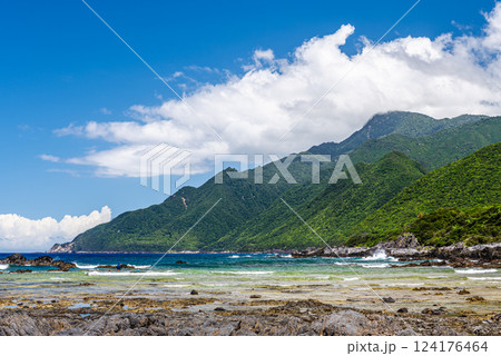 夏の栗生海岸　屋久島国立公園 124176464