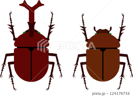 オスとメスのカブトムシのイラスト 124176738