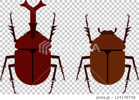 オスとメスのカブトムシのイラスト 124176738