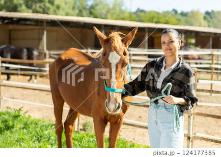 Asian girl, owner of horse, walks pet outdoor in paddock 124177385