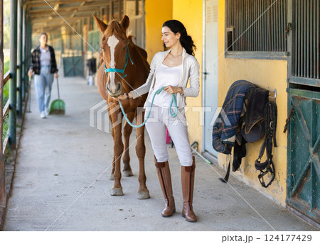 Young woman leads horse out of stable 124177429