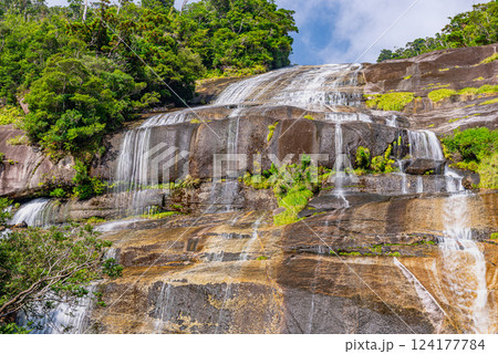 蛇之口の滝 世界自然遺産屋久島(秋 蛇之口の滝 世界自然遺産屋久島(秋 124177784