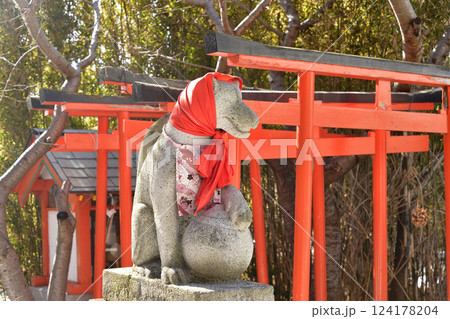 早春の北海道函館市で大森稲荷神社境内の風景を撮影 124178204
