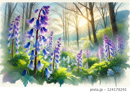 エゾエンゴサクの花 124178291