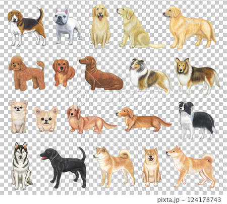 各種狗的插圖集 124178743