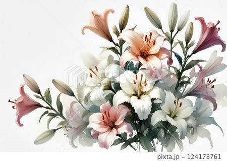 百合の花 124178761