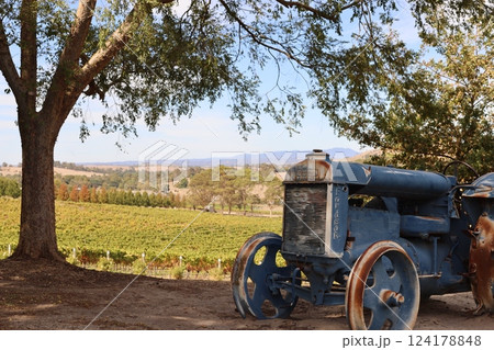 オーストラリアメルボルンのヤラバレーにあるワイナリーの風景 オーストラリアメルボルンのヤラバレーにあるワイナリーの風景 124178848