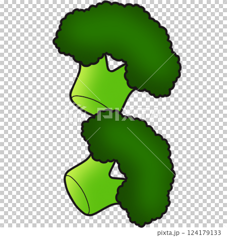 The illustration of a broccoli The illustration of a broccoli 124179133