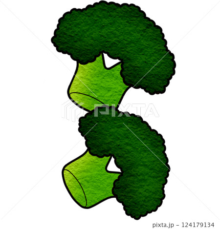 The illustration of a broccoli The illustration of a broccoli 124179134