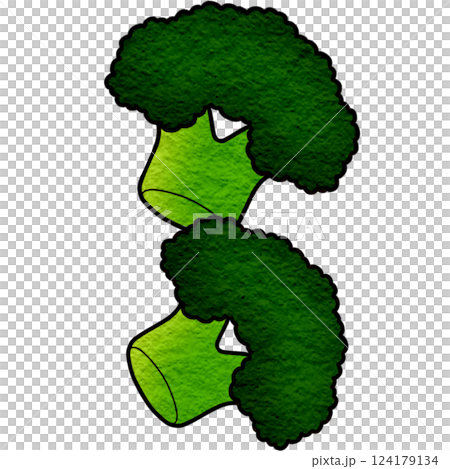 The illustration of a broccoli The illustration of a broccoli 124179134
