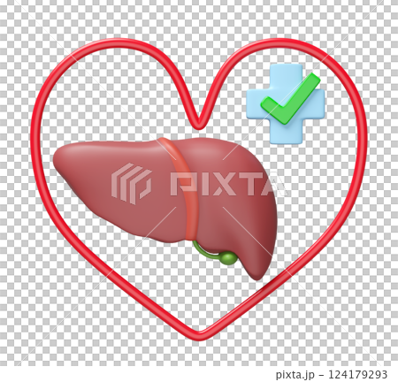 3d realistic human liver with heart, cross, check mark isolated. check liver health, health love, world hepatitis day concept, 3d illustration render 124179293
