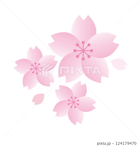 桜と花びらのイラスト 124179470