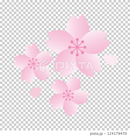 桜と花びらのイラスト 124179470