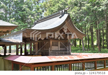 中山道松井田宿散歩:松井田八幡宮 安中市松井田町 中山道松井田宿散歩:松井田八幡宮 安中市松井田町 124179518