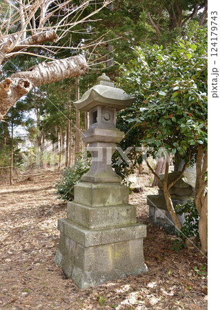 早春の北海道函館市で住三吉神社境内の風景を撮影 124179743