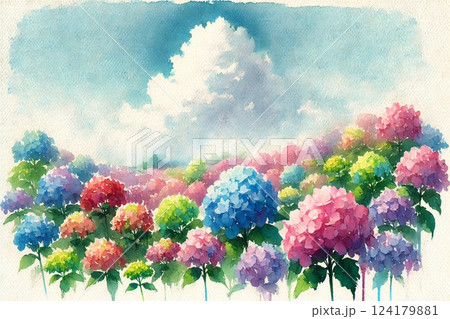 紫陽花 紫陽花 124179881