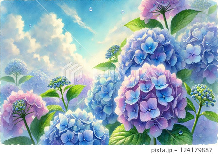 紫陽花のイラスト素材 [124179887] - PIXTA