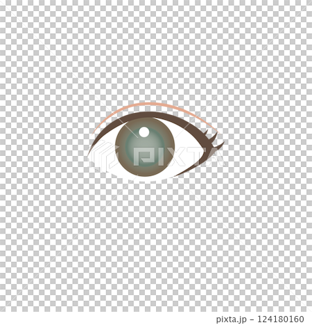 緑内障の目のイラスト 緑内障の目のイラスト 124180160
