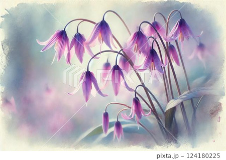 カタクリの花 カタクリの花 124180225