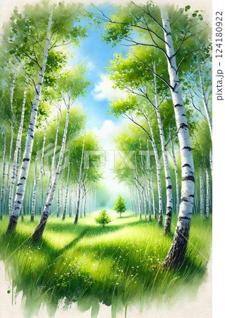 夏・白樺の林 124180922