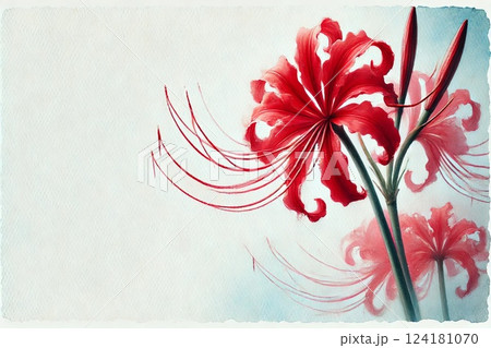 彼岸花 彼岸花 124181070