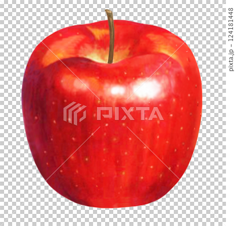 Shiny apple illustration Shiny apple illustration 124181448