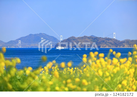 【愛媛県】快晴の来島海峡大橋と菜の花（大角海浜公園） 124182172